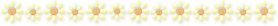 �t�����[���C��