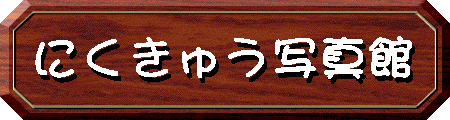�ɂ����イ�ʐ^��